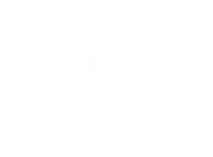 TAO Logo